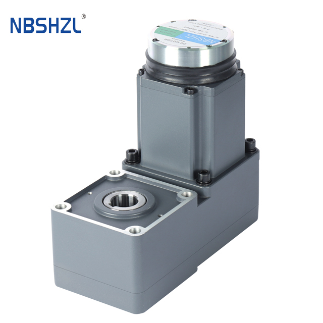 R-Type Geared BLDC Motors